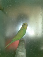 /album/plantel/foto-1385-jpg/