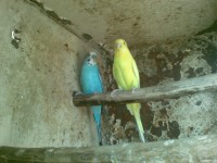 /album/plantel/foto-1406-jpg/