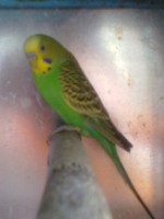 /album/plantel/a02082013849-jpg/